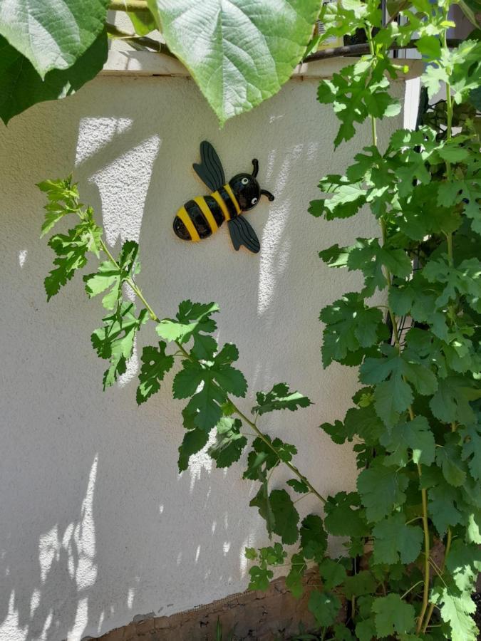 Maja Garden Lägenhet Zadar Exteriör bild